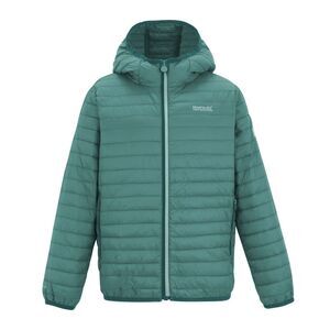 Regatta Childrens/Kids Hillpack Jacket / Ivy Moss
